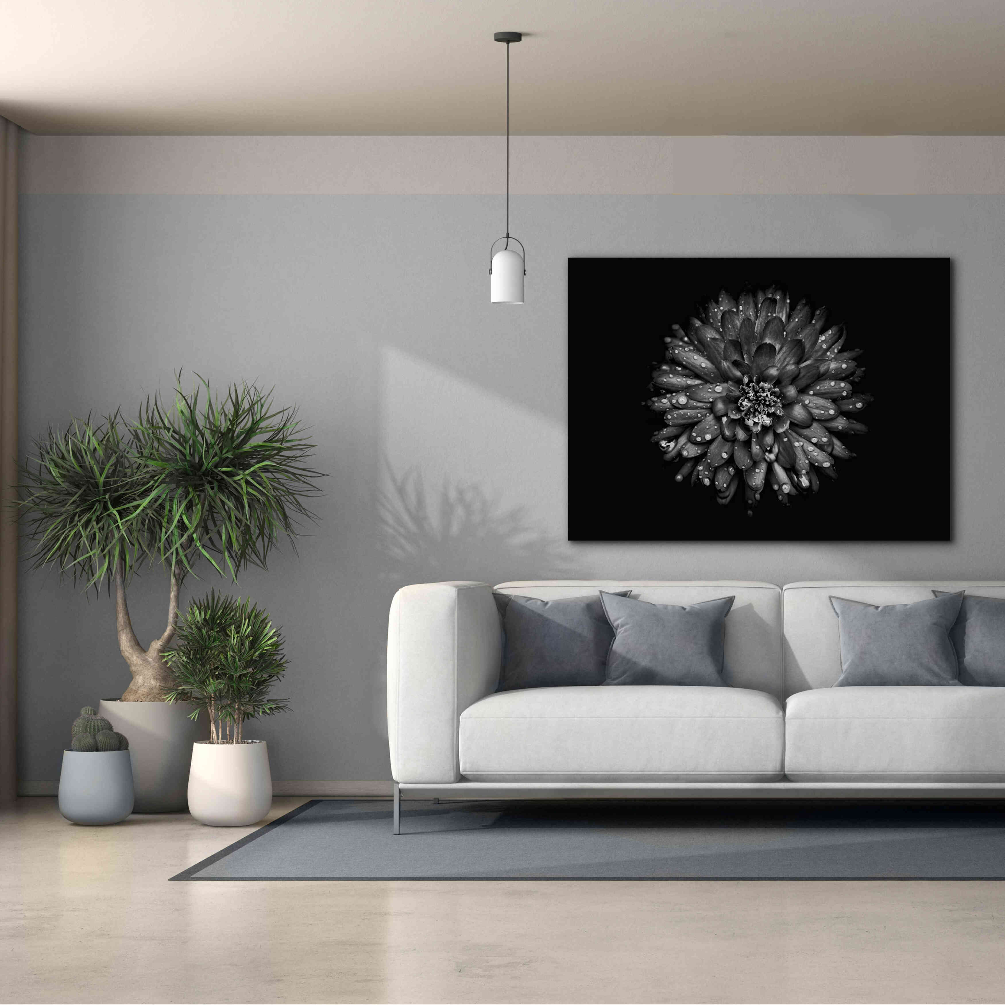 'Backyard Flowers In Black And White 45' by Brian Carson, Giclee Canvas Wall Art,54 x 40