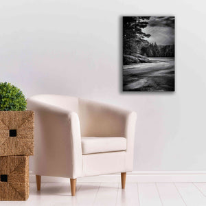 'Gullwing Lake No 4' by Brian Carson, Giclee Canvas Wall Art,18 x 26