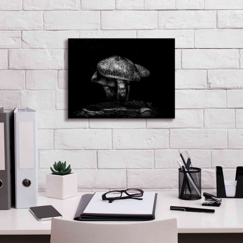 Image of 'Toadstools On A Trail No 1' by Brian Carson, Giclee Canvas Wall Art,16 x 12