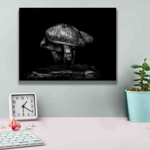 'Toadstools On A Trail No 1' by Brian Carson, Giclee Canvas Wall Art,16 x 12