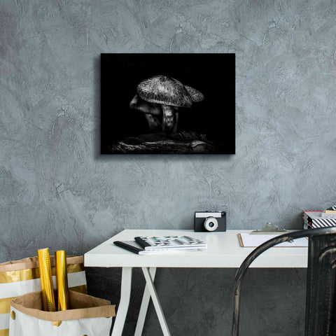 Image of 'Toadstools On A Trail No 1' by Brian Carson, Giclee Canvas Wall Art,16 x 12