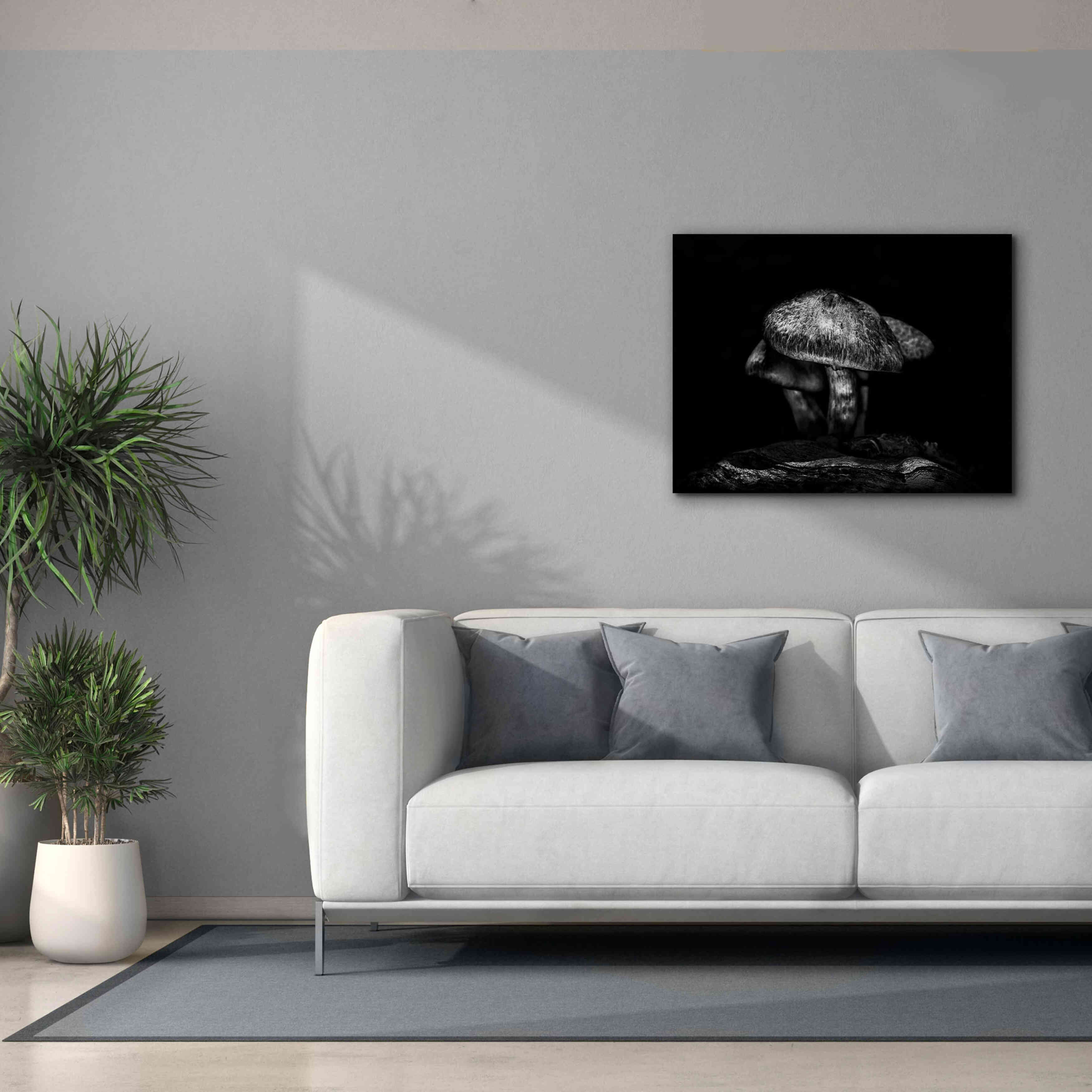'Toadstools On A Trail No 1' by Brian Carson, Giclee Canvas Wall Art,34 x 26