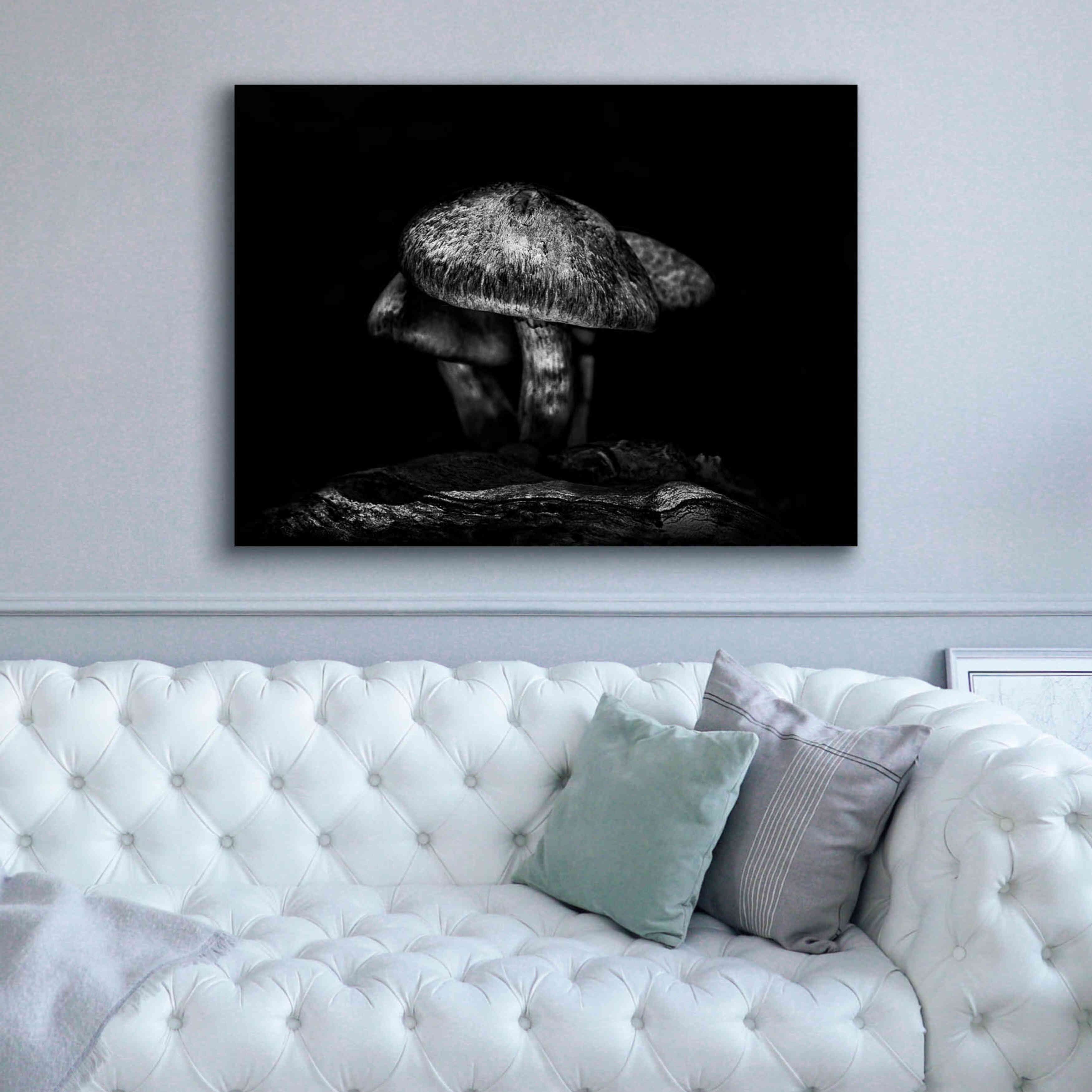 'Toadstools On A Trail No 1' by Brian Carson, Giclee Canvas Wall Art,54 x 40