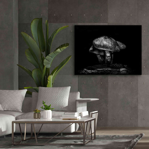 Image of 'Toadstools On A Trail No 1' by Brian Carson, Giclee Canvas Wall Art,54 x 40
