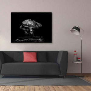 'Toadstools On A Trail No 1' by Brian Carson, Giclee Canvas Wall Art,54 x 40