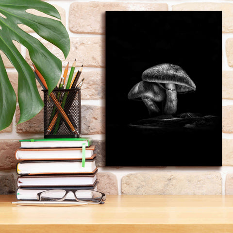 Image of 'Toadstools On A Trail No 2' by Brian Carson, Giclee Canvas Wall Art,12 x 16