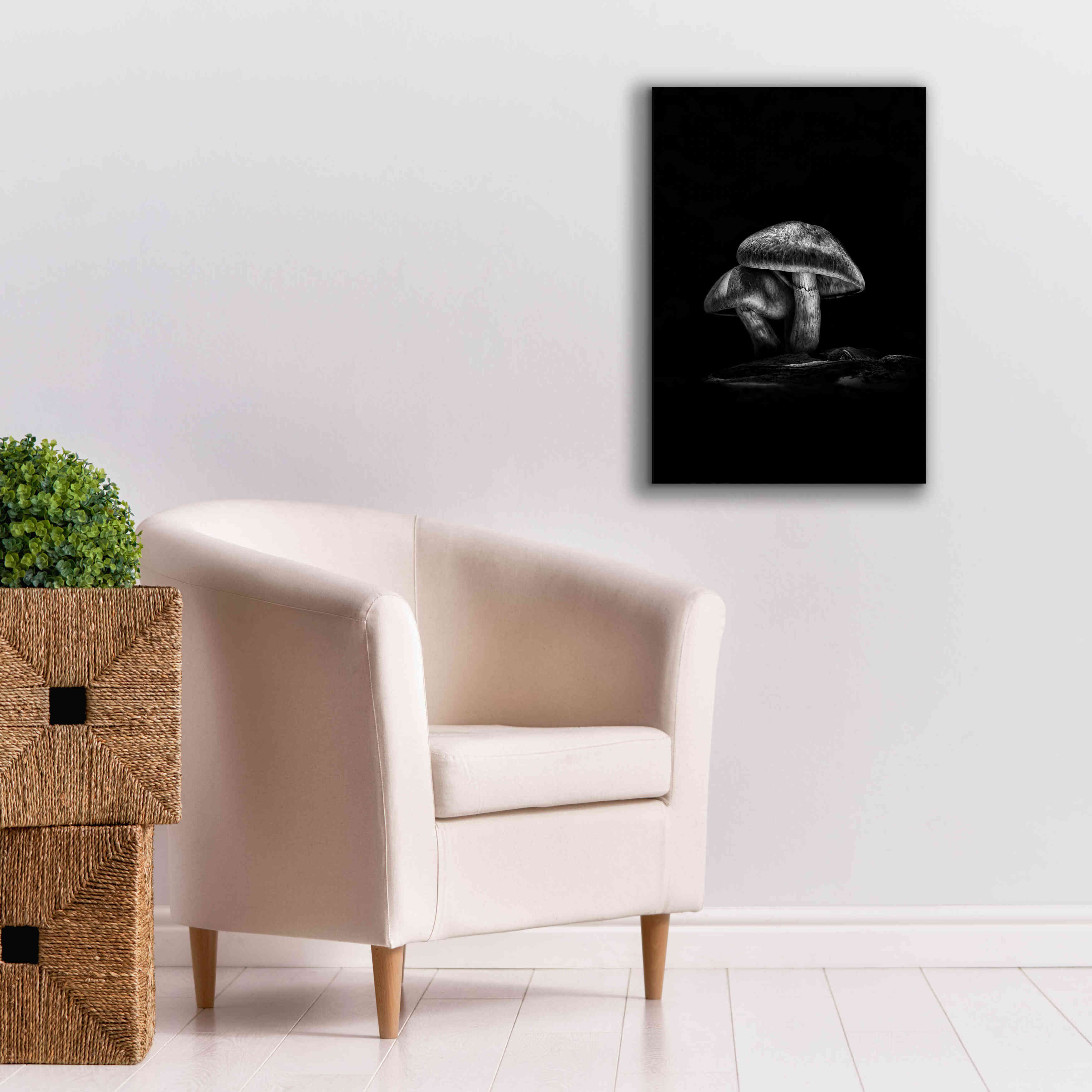 'Toadstools On A Trail No 2' by Brian Carson, Giclee Canvas Wall Art,18 x 26
