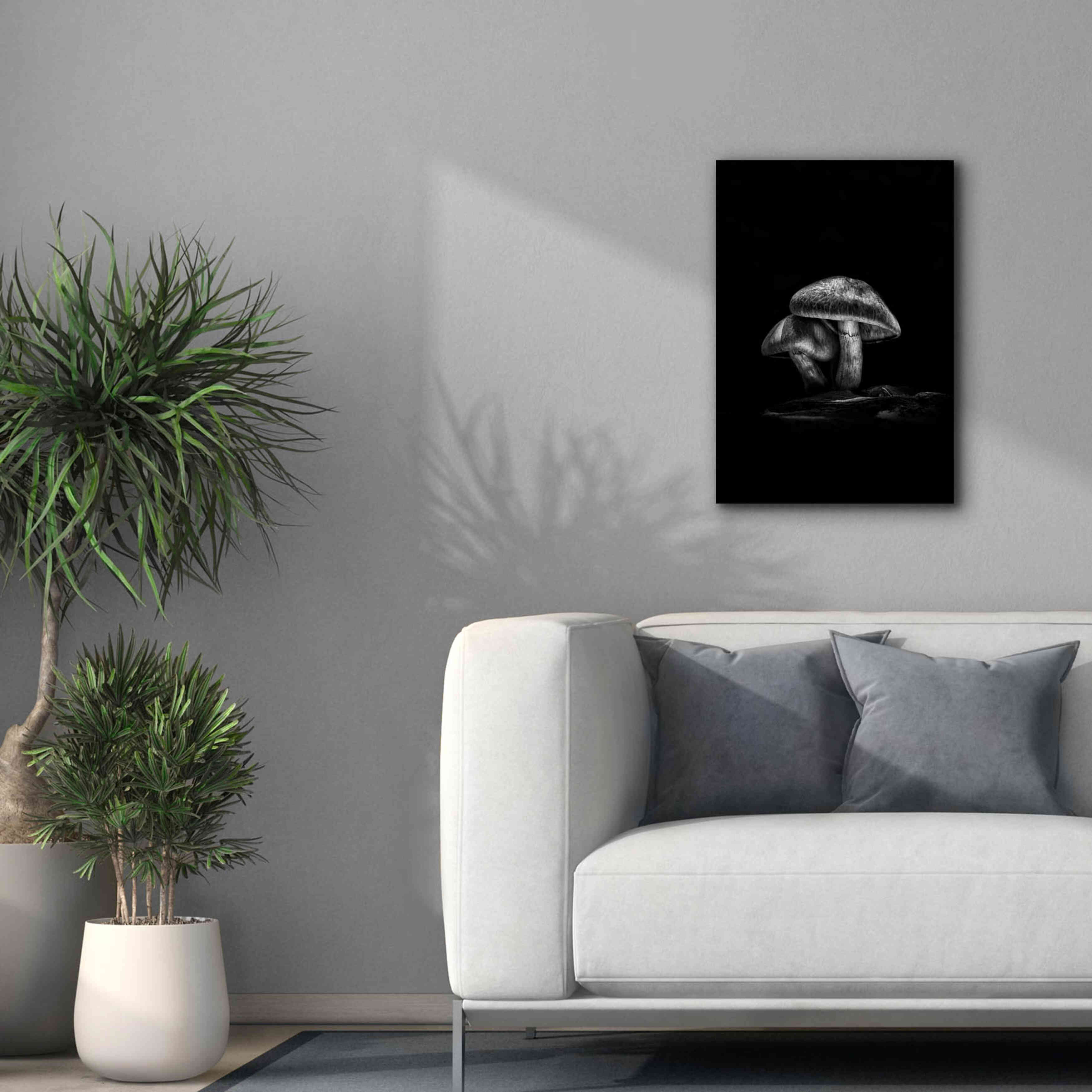 'Toadstools On A Trail No 2' by Brian Carson, Giclee Canvas Wall Art,18 x 26