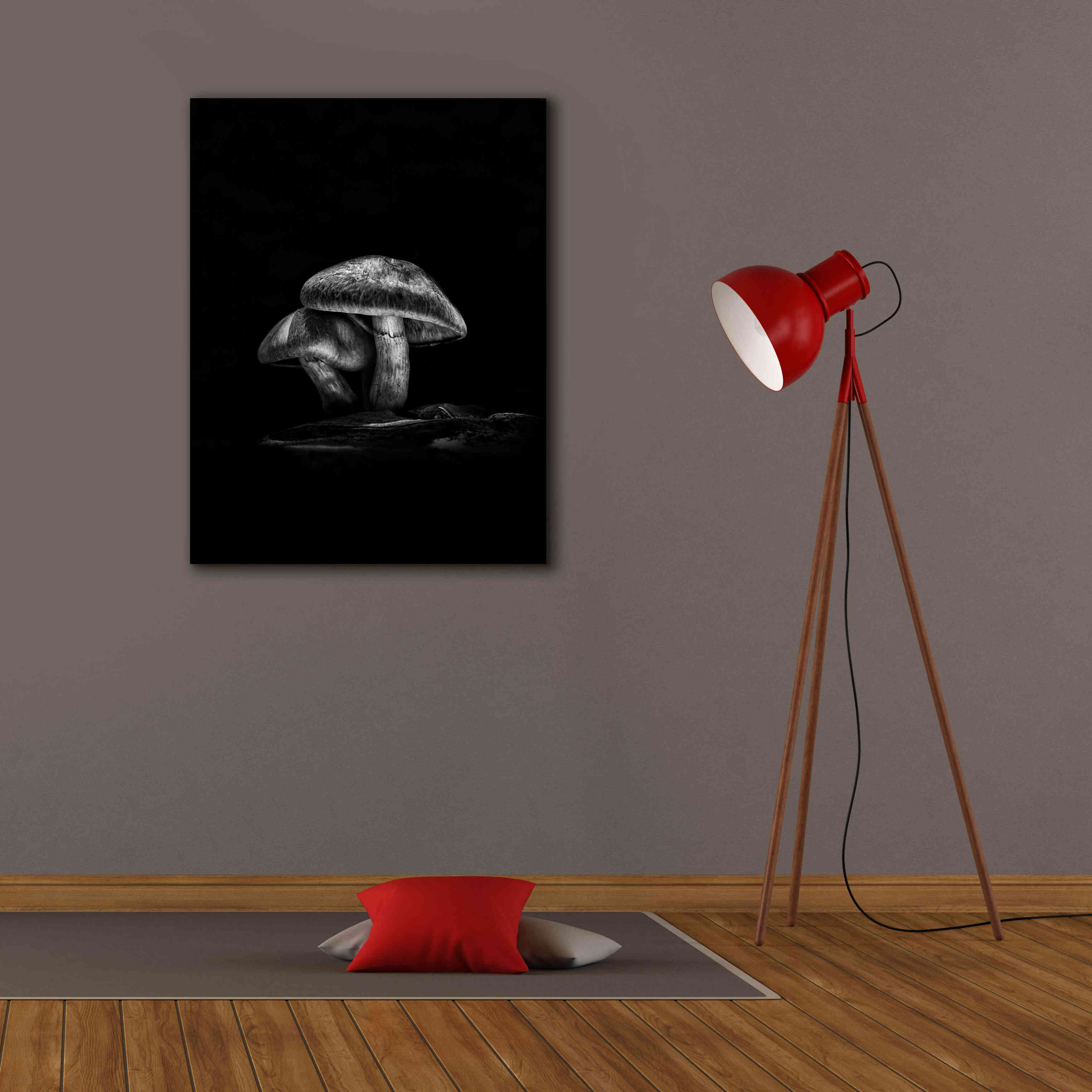'Toadstools On A Trail No 2' by Brian Carson, Giclee Canvas Wall Art,26 x 34