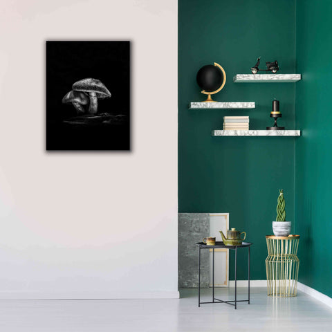 Image of 'Toadstools On A Trail No 2' by Brian Carson, Giclee Canvas Wall Art,26 x 34