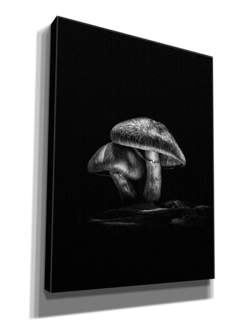 Image of 'Toadstools On A Trail No 2' by Brian Carson, Giclee Canvas Wall Art