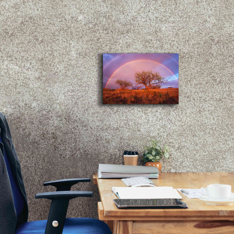Image of 'Arizona Rainbow' by Thomas Haney, Giclee Canvas Wall Art,18 x 12