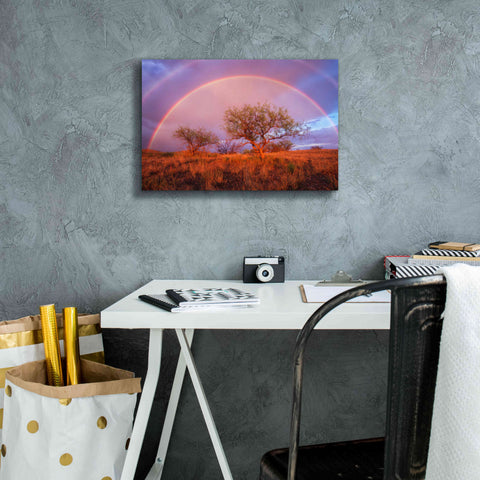 Image of 'Arizona Rainbow' by Thomas Haney, Giclee Canvas Wall Art,18 x 12