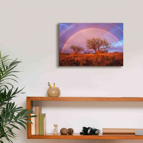 Image of 'Arizona Rainbow' by Thomas Haney, Giclee Canvas Wall Art,18 x 12