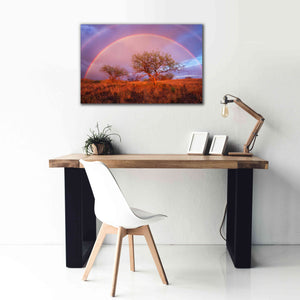 'Arizona Rainbow' by Thomas Haney, Giclee Canvas Wall Art,40 x 26