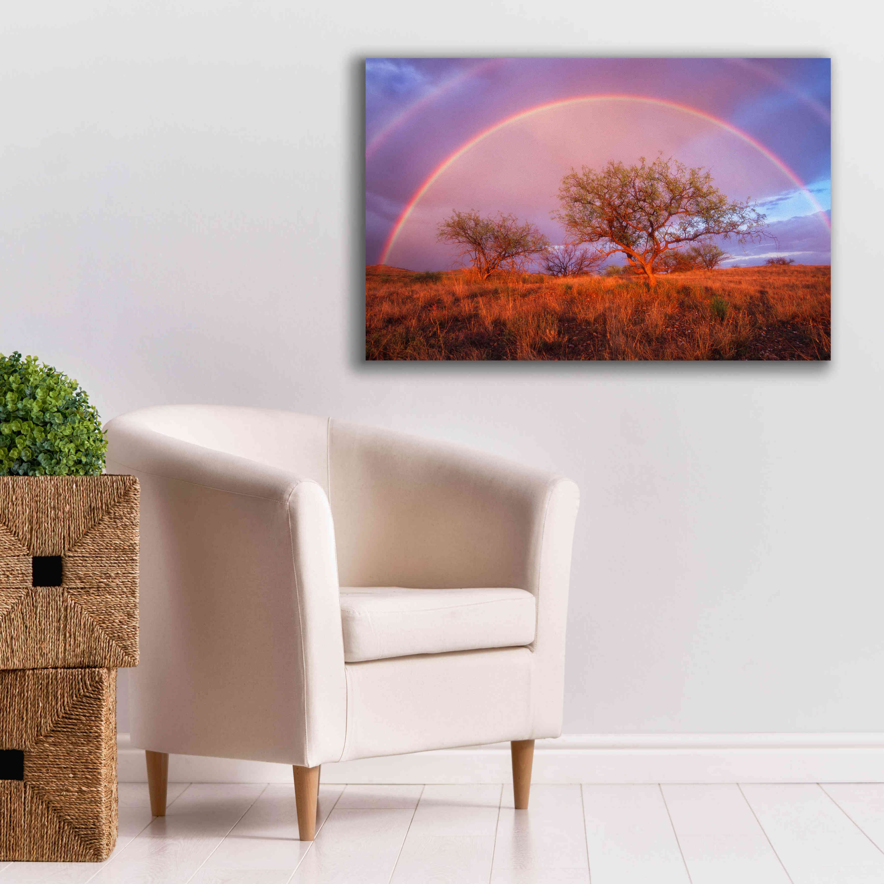 'Arizona Rainbow' by Thomas Haney, Giclee Canvas Wall Art,40 x 26