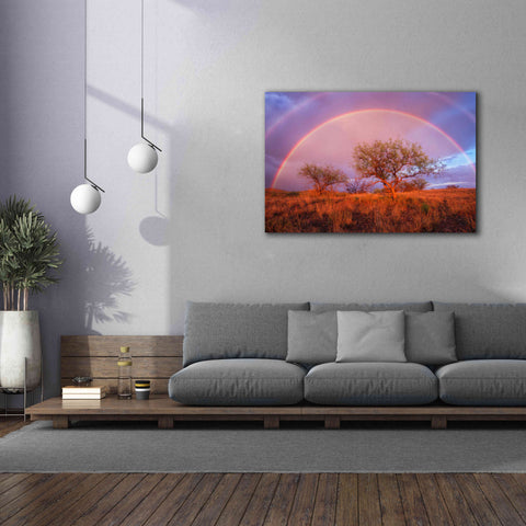 Image of 'Arizona Rainbow' by Thomas Haney, Giclee Canvas Wall Art,60 x 40