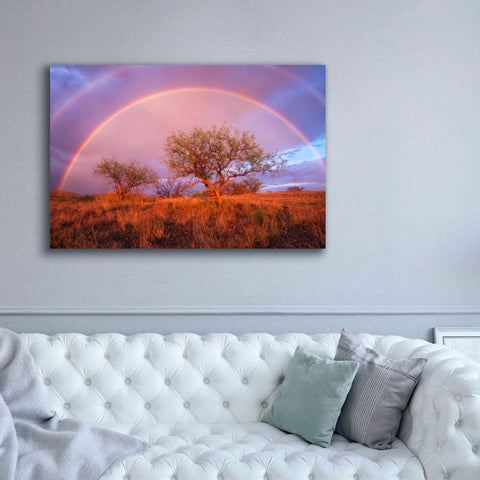 Image of 'Arizona Rainbow' by Thomas Haney, Giclee Canvas Wall Art,60 x 40