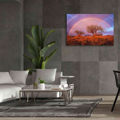 Image of 'Arizona Rainbow' by Thomas Haney, Giclee Canvas Wall Art,60 x 40