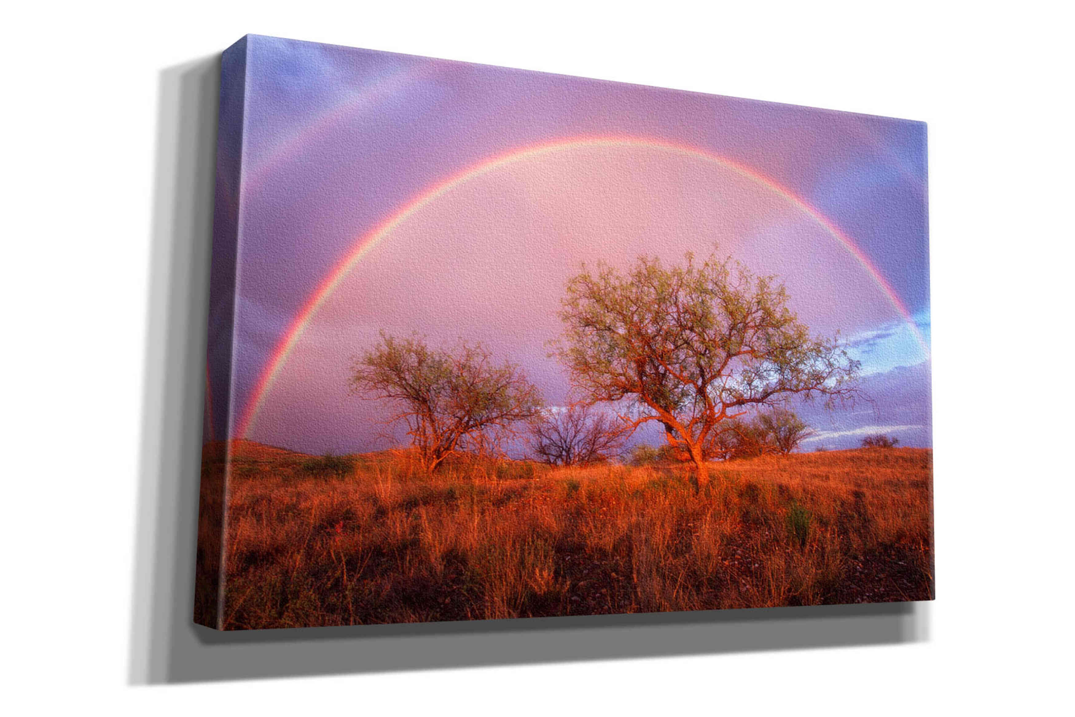 'Arizona Rainbow' by Thomas Haney, Giclee Canvas Wall Art