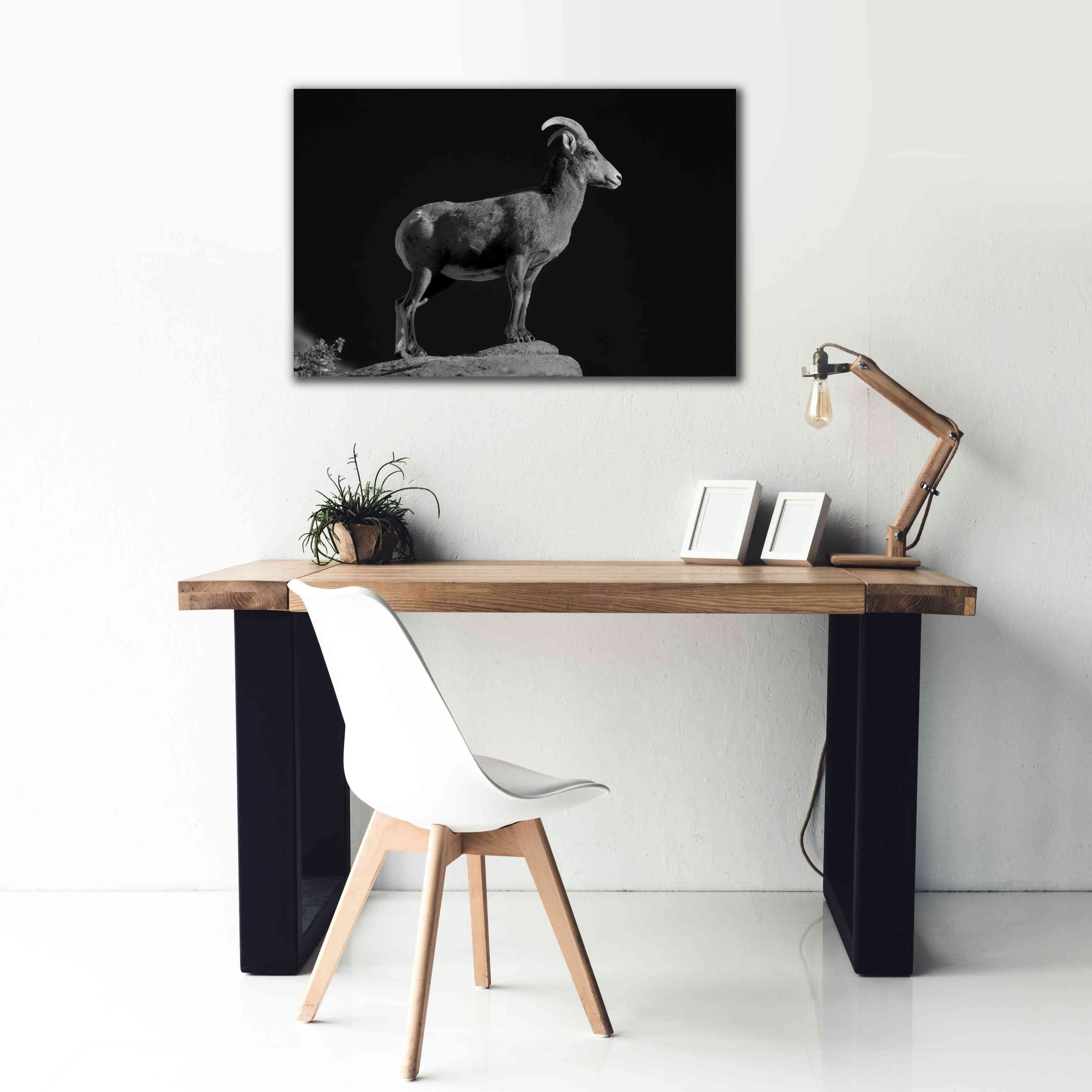 'Bighorn Portrait Cf' by Thomas Haney, Giclee Canvas Wall Art,40 x 26