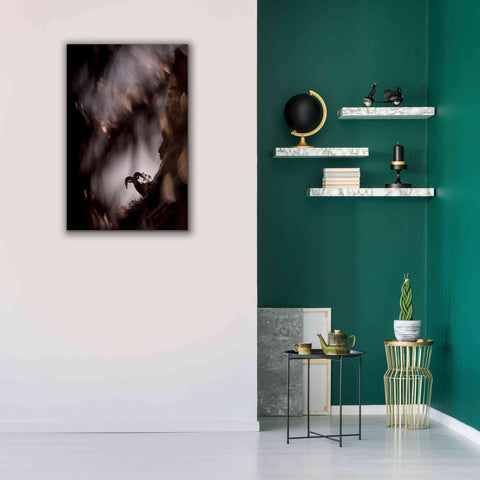 Image of 'Bighorn Silhouette Best' by Thomas Haney, Giclee Canvas Wall Art,26 x 40