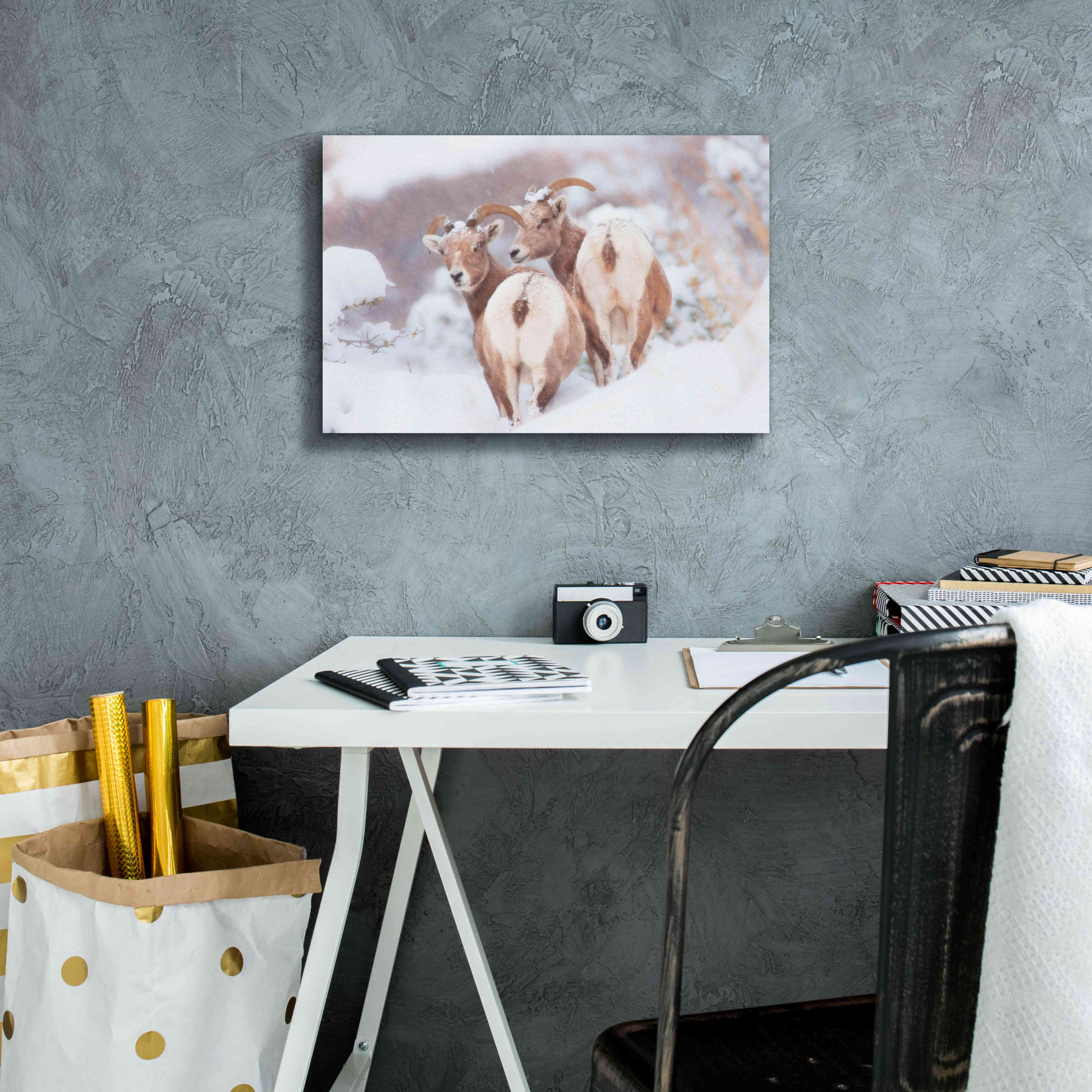'Bighorns Two' by Thomas Haney, Giclee Canvas Wall Art,18 x 12