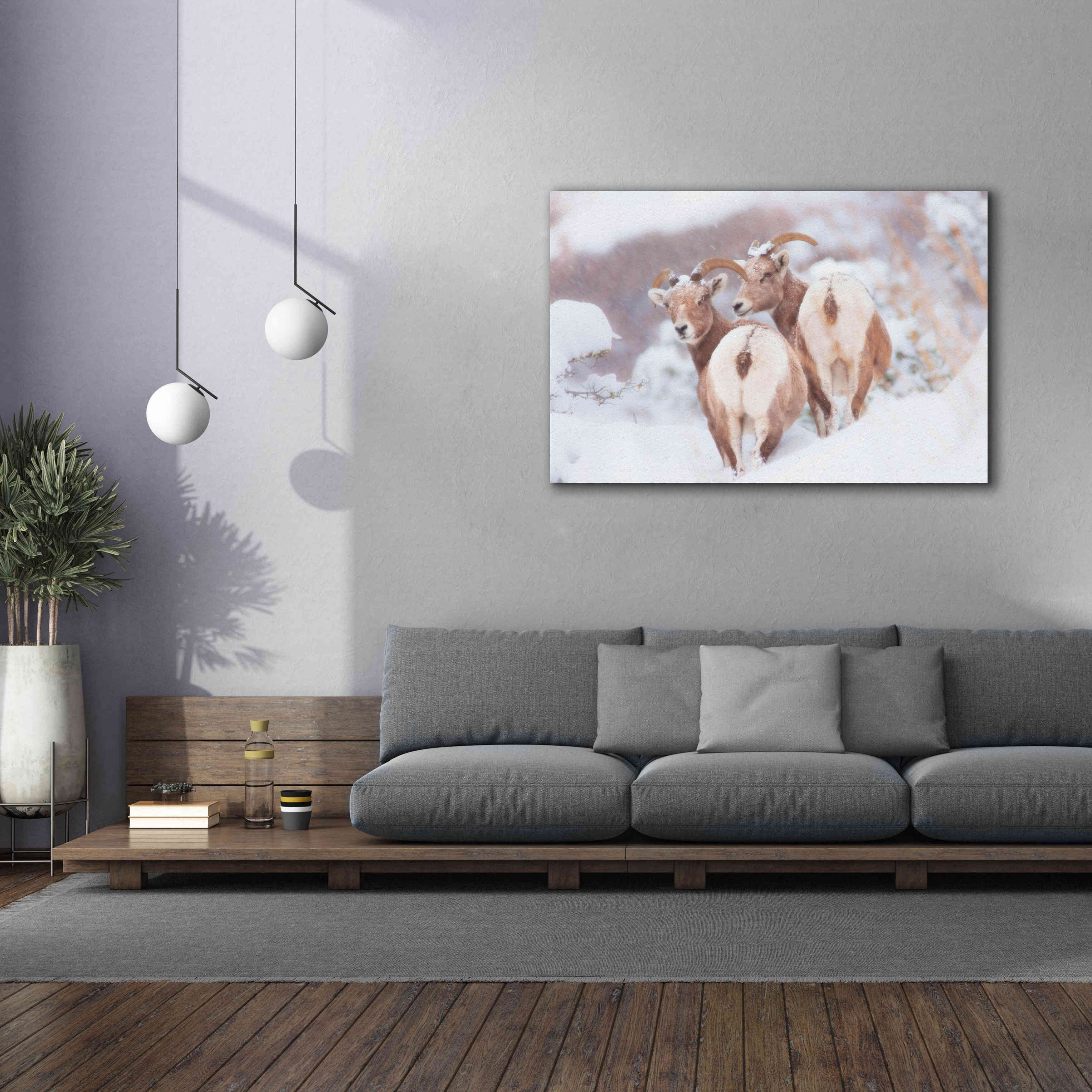 'Bighorns Two' by Thomas Haney, Giclee Canvas Wall Art,60 x 40