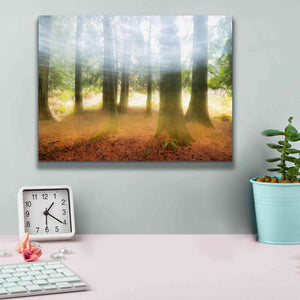 'Blurred Trees' by Thomas Haney, Giclee Canvas Wall Art,16 x 12
