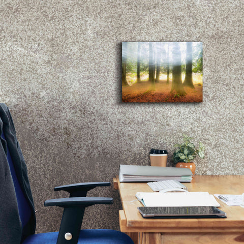 Image of 'Blurred Trees' by Thomas Haney, Giclee Canvas Wall Art,16 x 12