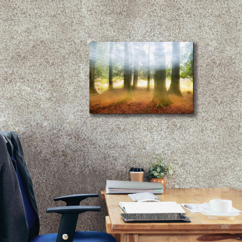Image of 'Blurred Trees' by Thomas Haney, Giclee Canvas Wall Art,26 x 18