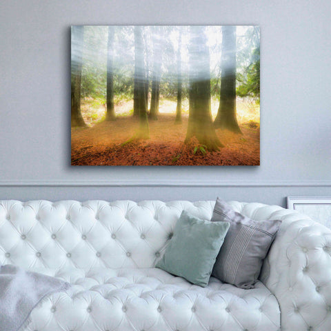 Image of 'Blurred Trees' by Thomas Haney, Giclee Canvas Wall Art,54 x 40