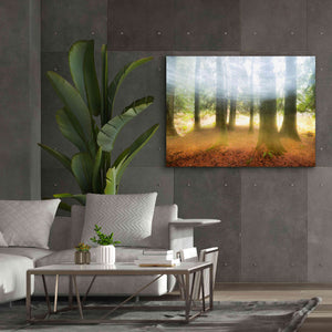 'Blurred Trees' by Thomas Haney, Giclee Canvas Wall Art,54 x 40