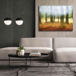 'Blurred Trees' by Thomas Haney, Giclee Canvas Wall Art,54 x 40