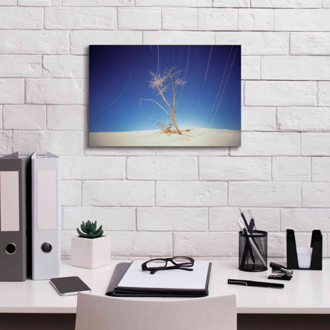 Image of 'Bright Cottonwood Drum Scan' by Thomas Haney, Giclee Canvas Wall Art,18 x 12