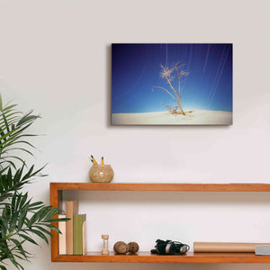 'Bright Cottonwood Drum Scan' by Thomas Haney, Giclee Canvas Wall Art,18 x 12