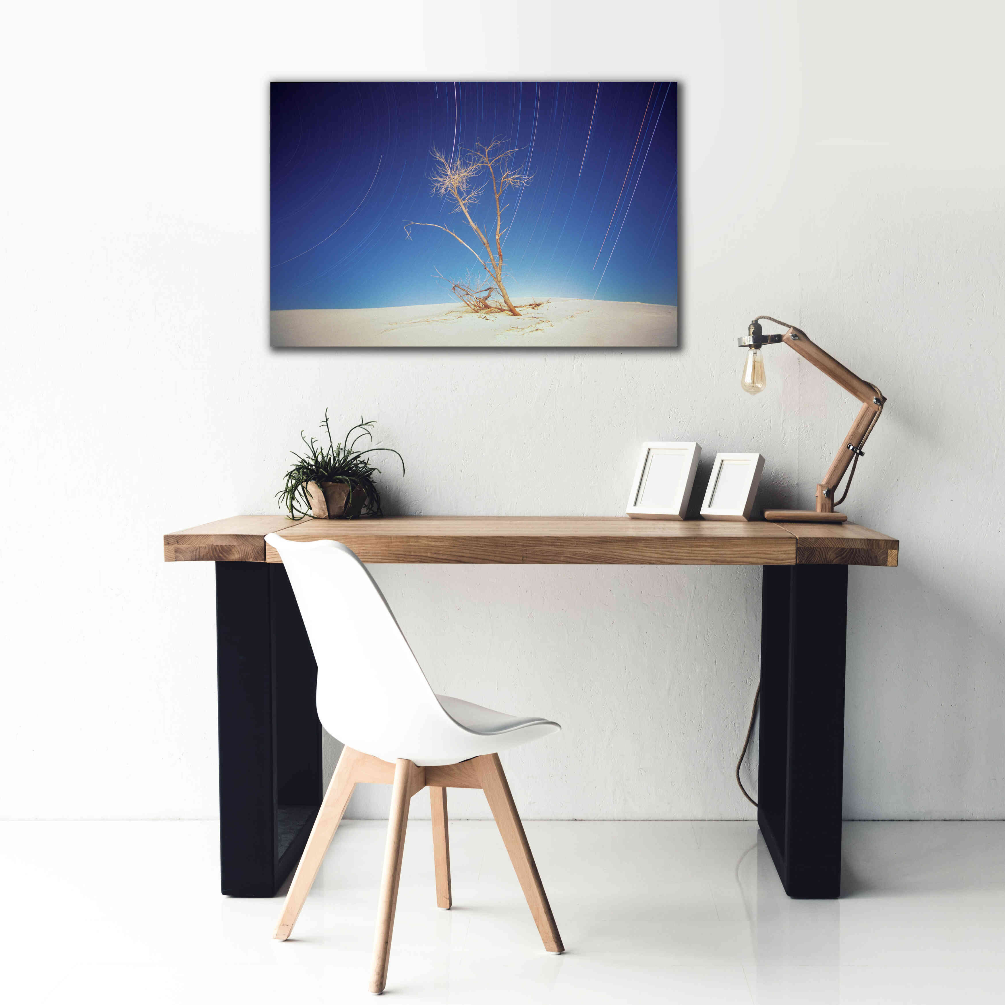 'Bright Cottonwood Drum Scan' by Thomas Haney, Giclee Canvas Wall Art,40 x 26