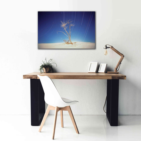 Image of 'Bright Cottonwood Drum Scan' by Thomas Haney, Giclee Canvas Wall Art,40 x 26
