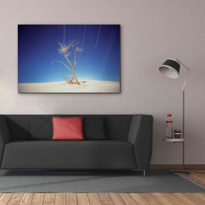 'Bright Cottonwood Drum Scan' by Thomas Haney, Giclee Canvas Wall Art,60 x 40