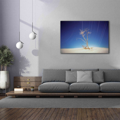 Image of 'Bright Cottonwood Drum Scan' by Thomas Haney, Giclee Canvas Wall Art,60 x 40