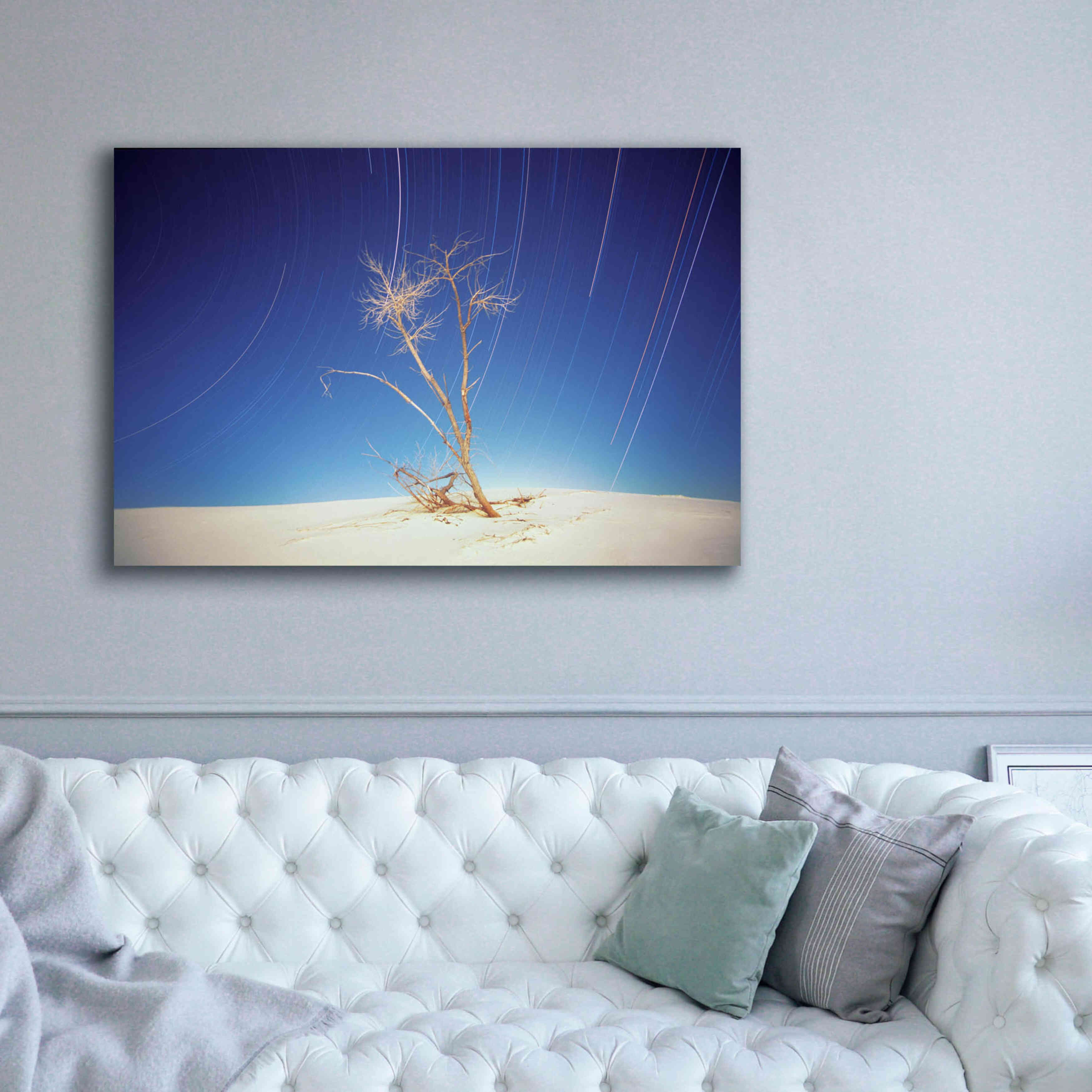 'Bright Cottonwood Drum Scan' by Thomas Haney, Giclee Canvas Wall Art,60 x 40