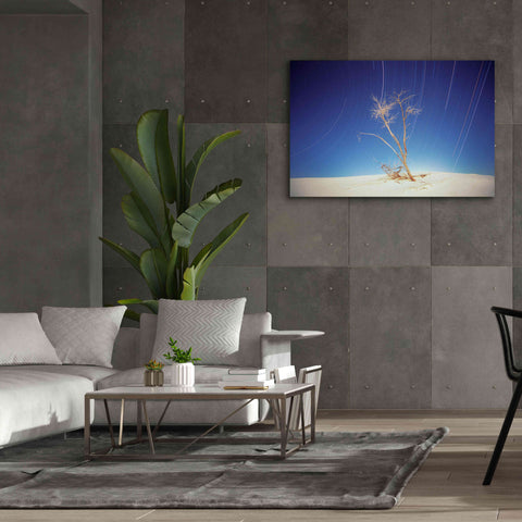 Image of 'Bright Cottonwood Drum Scan' by Thomas Haney, Giclee Canvas Wall Art,60 x 40
