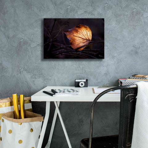 Image of 'Bright Leaf Proc' by Thomas Haney, Giclee Canvas Wall Art,18 x 12