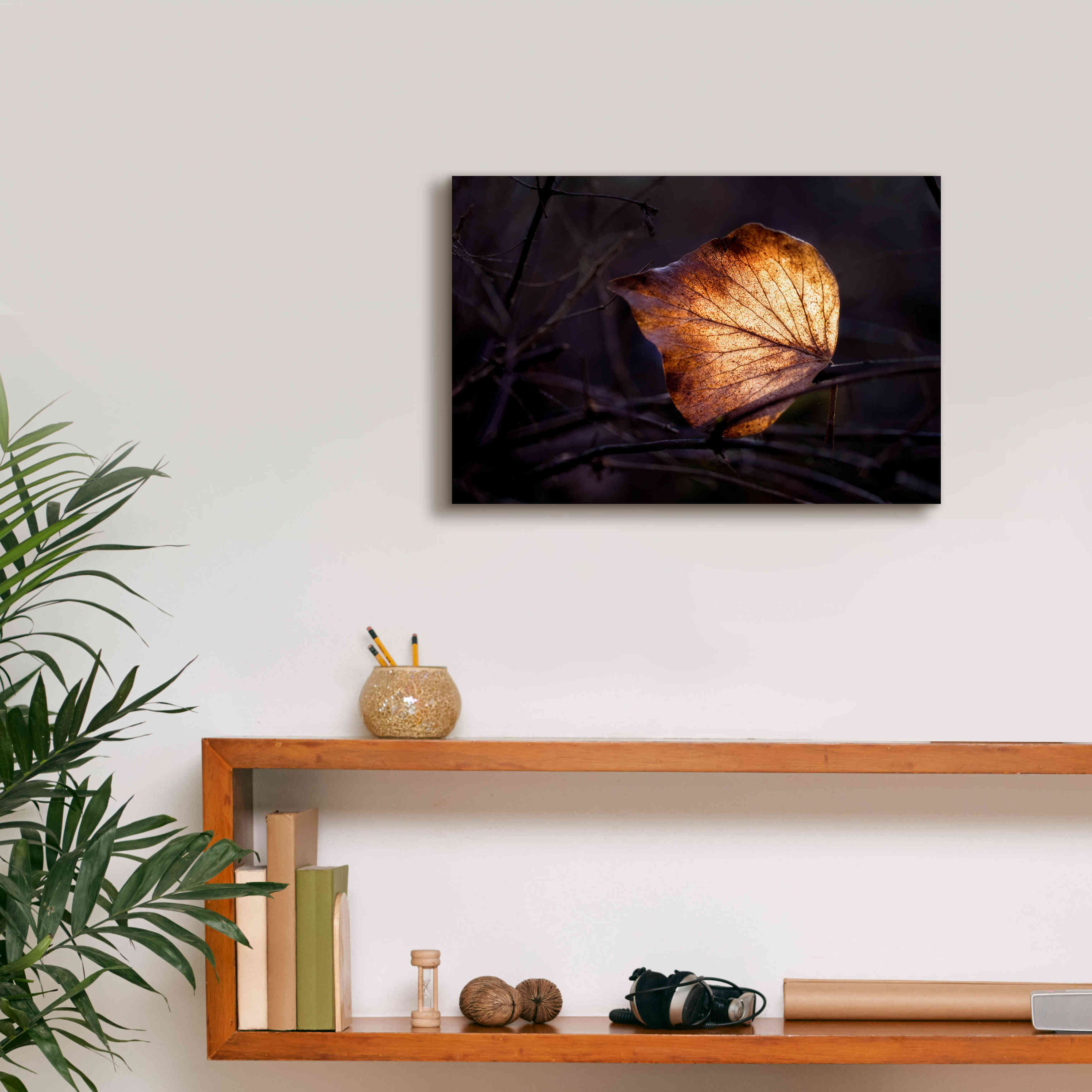 'Bright Leaf Proc' by Thomas Haney, Giclee Canvas Wall Art,18 x 12