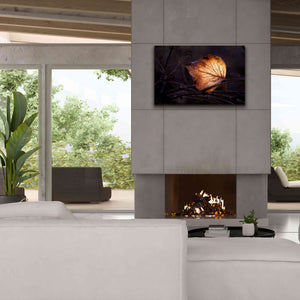 'Bright Leaf Proc' by Thomas Haney, Giclee Canvas Wall Art,40 x 26