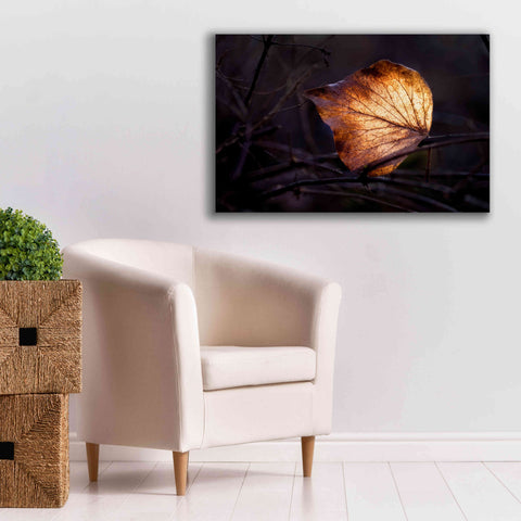 Image of 'Bright Leaf Proc' by Thomas Haney, Giclee Canvas Wall Art,40 x 26