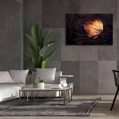 Image of 'Bright Leaf Proc' by Thomas Haney, Giclee Canvas Wall Art,60 x 40
