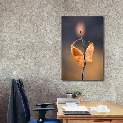 Image of 'Candle Plant' by Thomas Haney, Giclee Canvas Wall Art,26 x 40