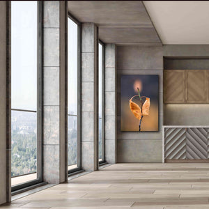 'Candle Plant' by Thomas Haney, Giclee Canvas Wall Art,40 x 60