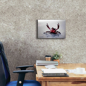 'Claws Up' by Thomas Haney, Giclee Canvas Wall Art,18 x 12